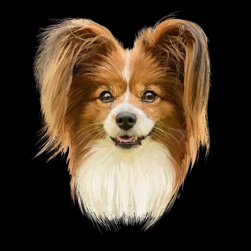 Papillon
