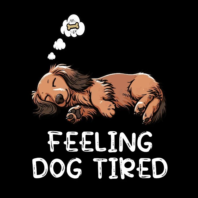 Se sentir fatigué par chien Teckel