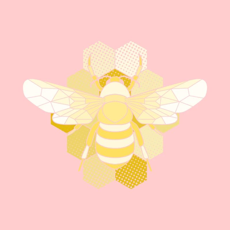 Yellow honey bee on honeycomb Bee Honey Beekeeper