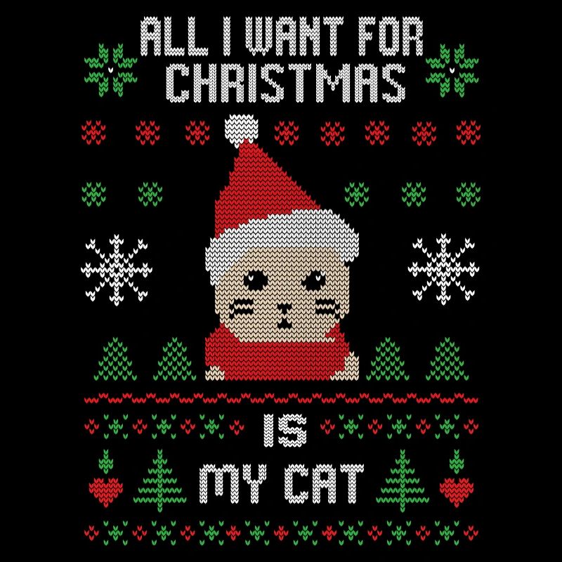 Cadeau de Noël pour chat