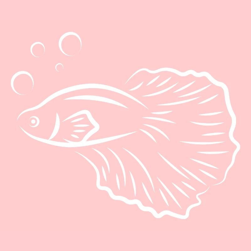 Fighting fish aquarium