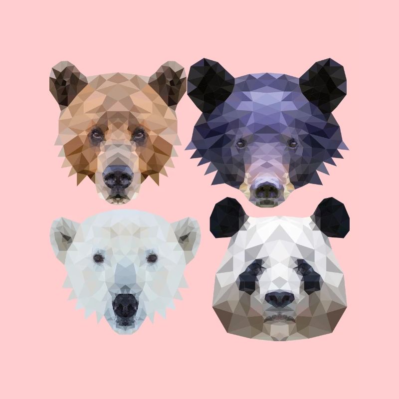 Polygon Bären Braunbär Schwarzbär Eisbär Pandabär