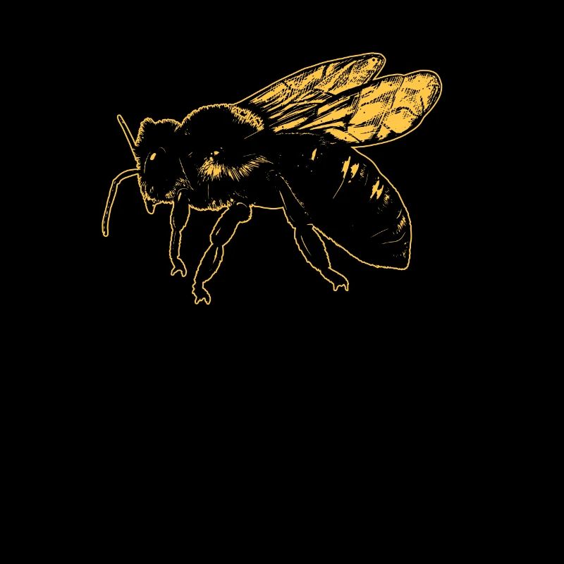 Bee Beekeeper Beekeeping Beekeeping