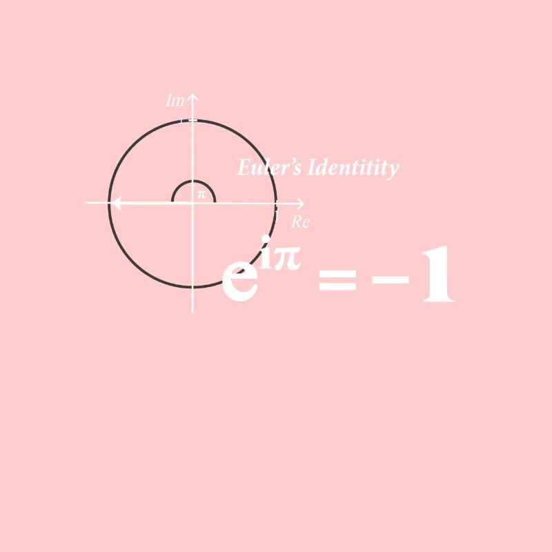 Mathematics Euler's formula math teacher math