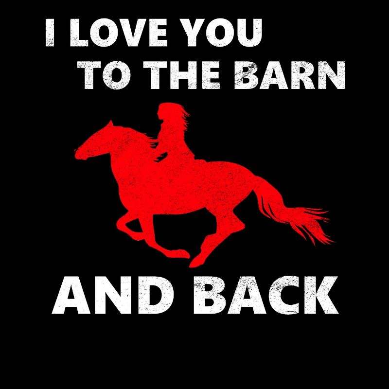 Reiten Pferde reiten Reiter Pferd