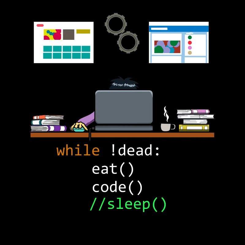 Programmeur développeur informatique