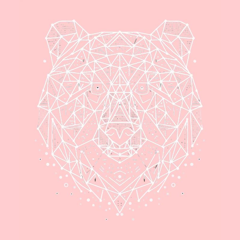 Bear Polygon