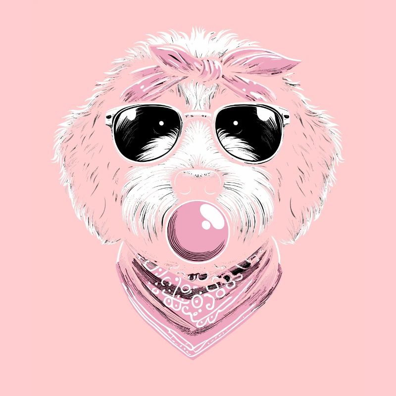 Bernedoodle Hund