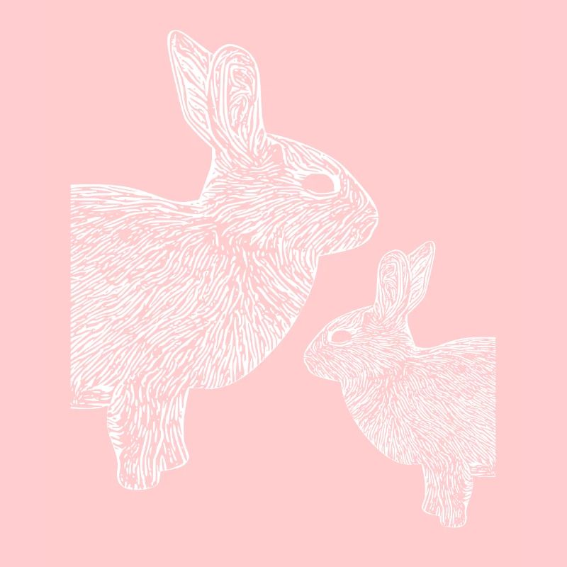 Pygmy rabbit