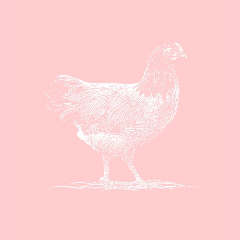 Poulets pré-bourses
