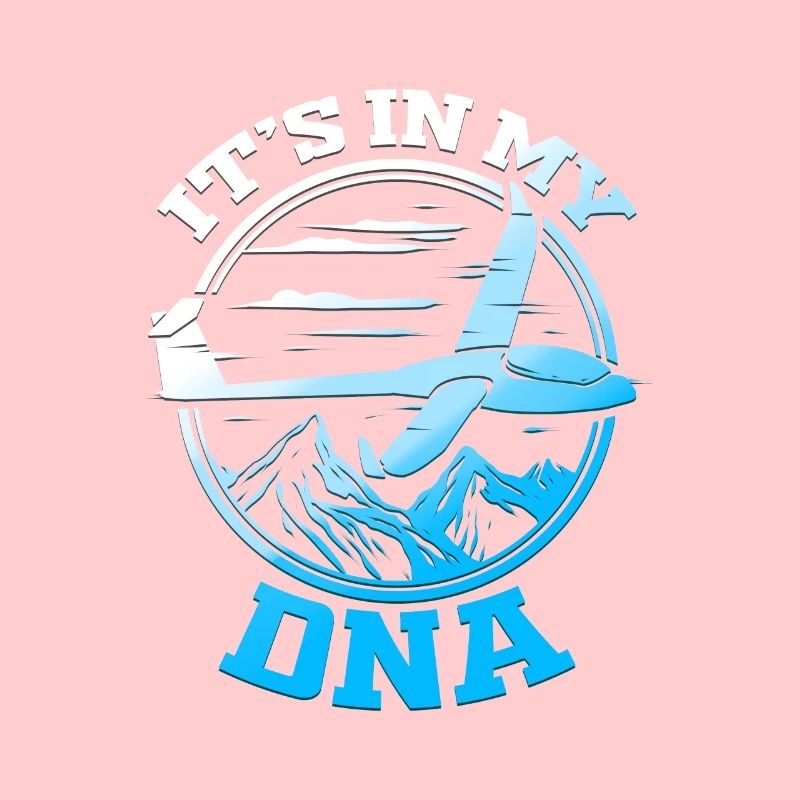 Gliding pilot glider glider pilot