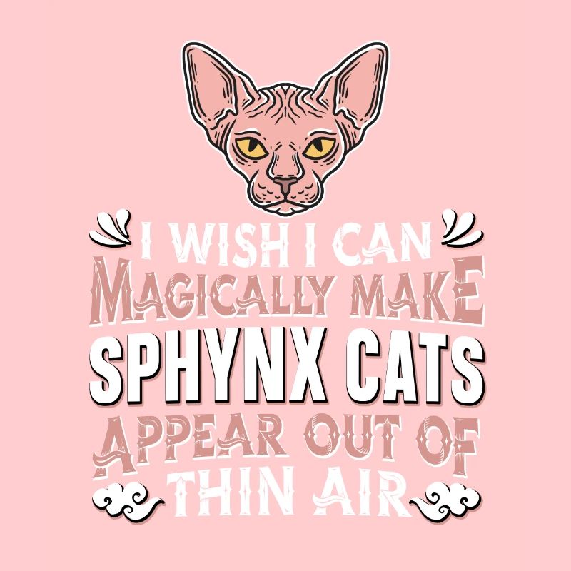 Sphynx Cat