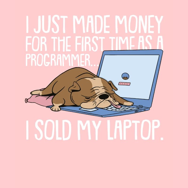 Programmierer Coder Software Entwickler