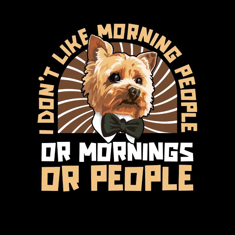 Yorkshire Terrier Hund