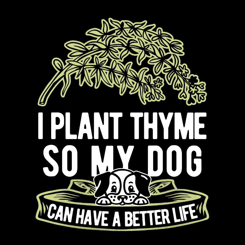 Thyme Herbe Chien