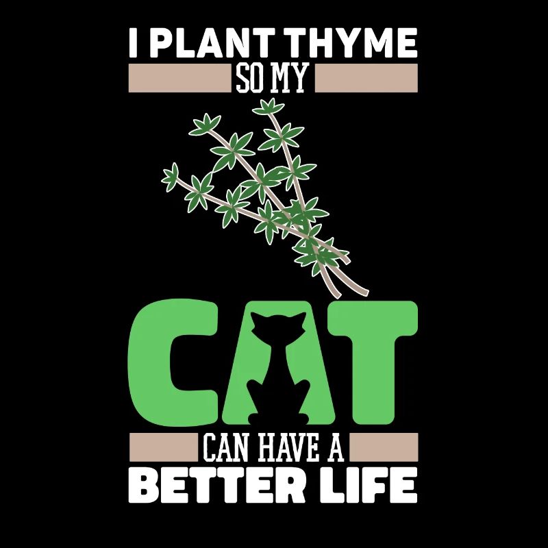 Thym Herb Cat