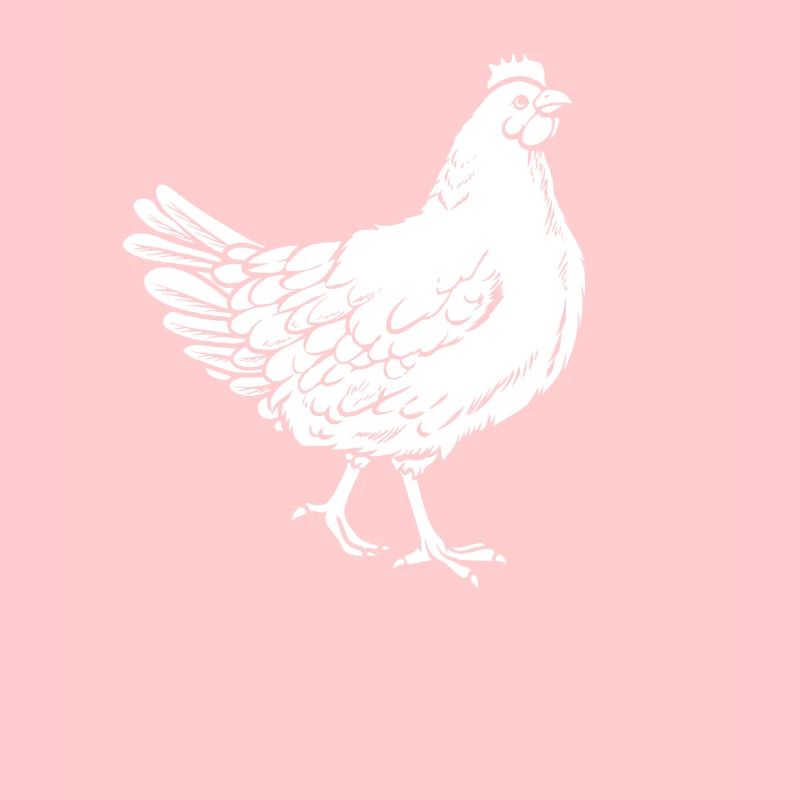 Poule de poulet