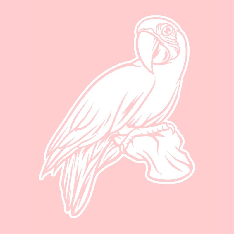 Parrot