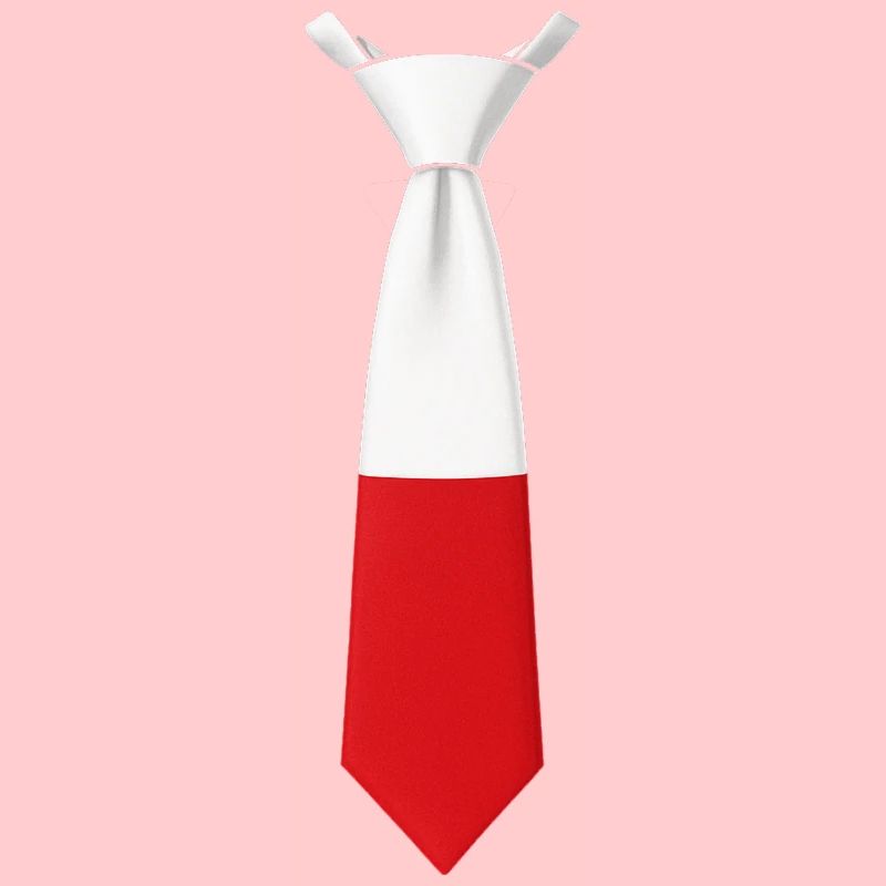 Cravate Pologne – Conception du drapeau