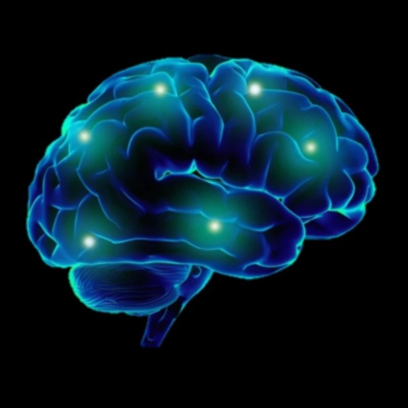 Brain brain blue neurons pathways smart