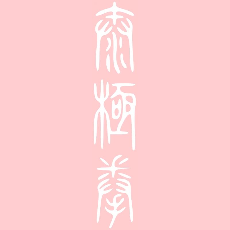 script de taiji II