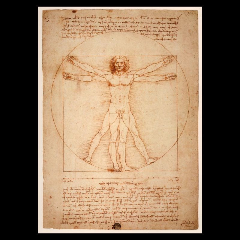 leonardo da vinci humane