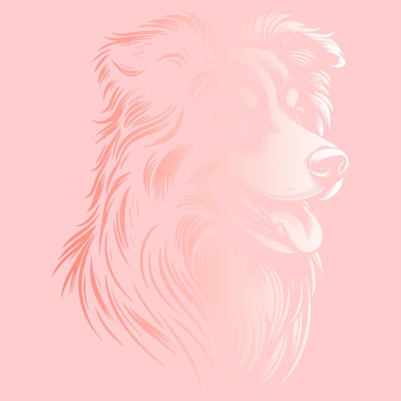 Australian Shepherd Traits 3 Gradient