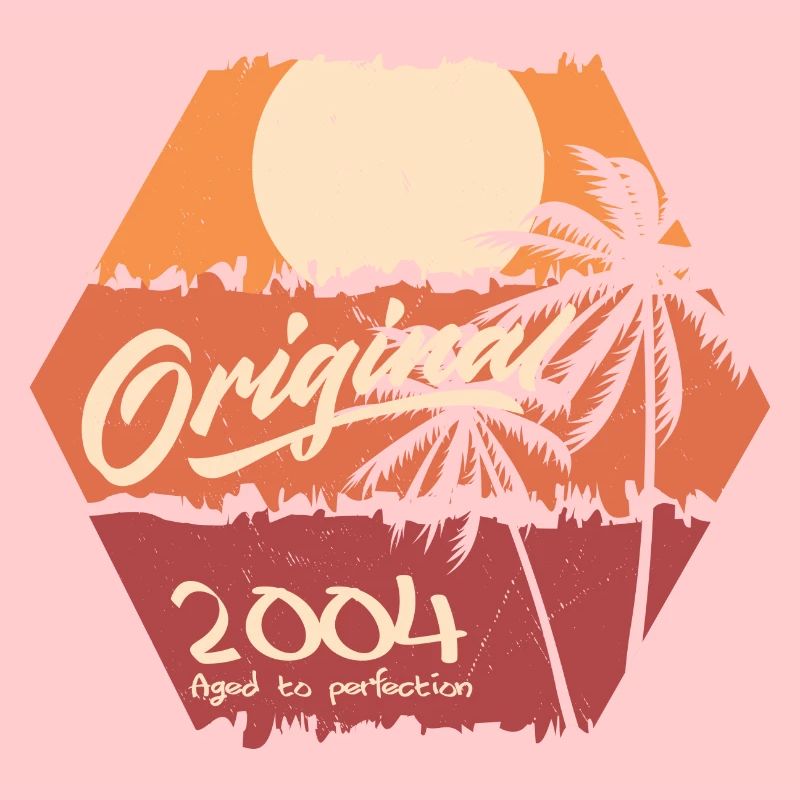 Original 2004 Retro 2004 Birthday Gift