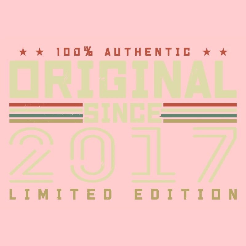 Original 2017 Geburtstagsgeschenk 2017 Retro 2017