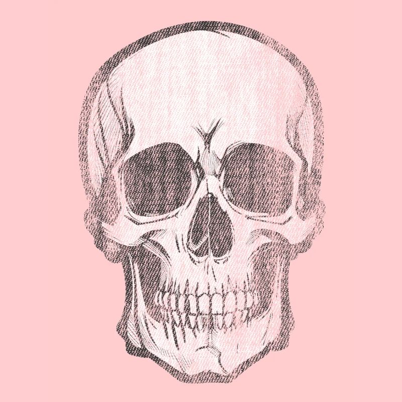 Skull Bone Skull Head Pirate