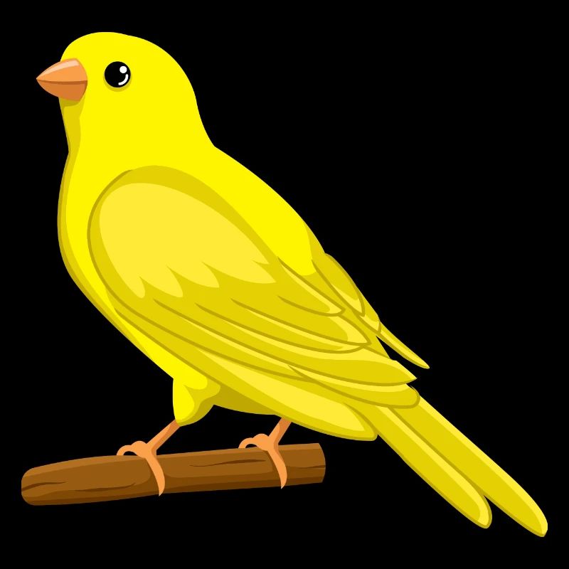 Kanarienvogel Singvogel, Vogel Design