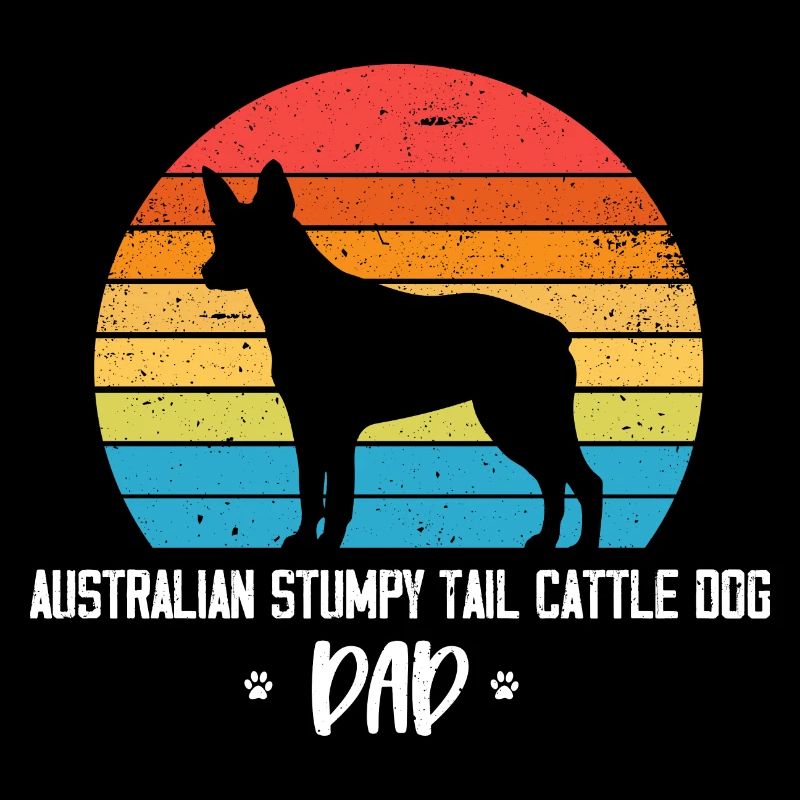 Chien de bétail australien à queue de souche