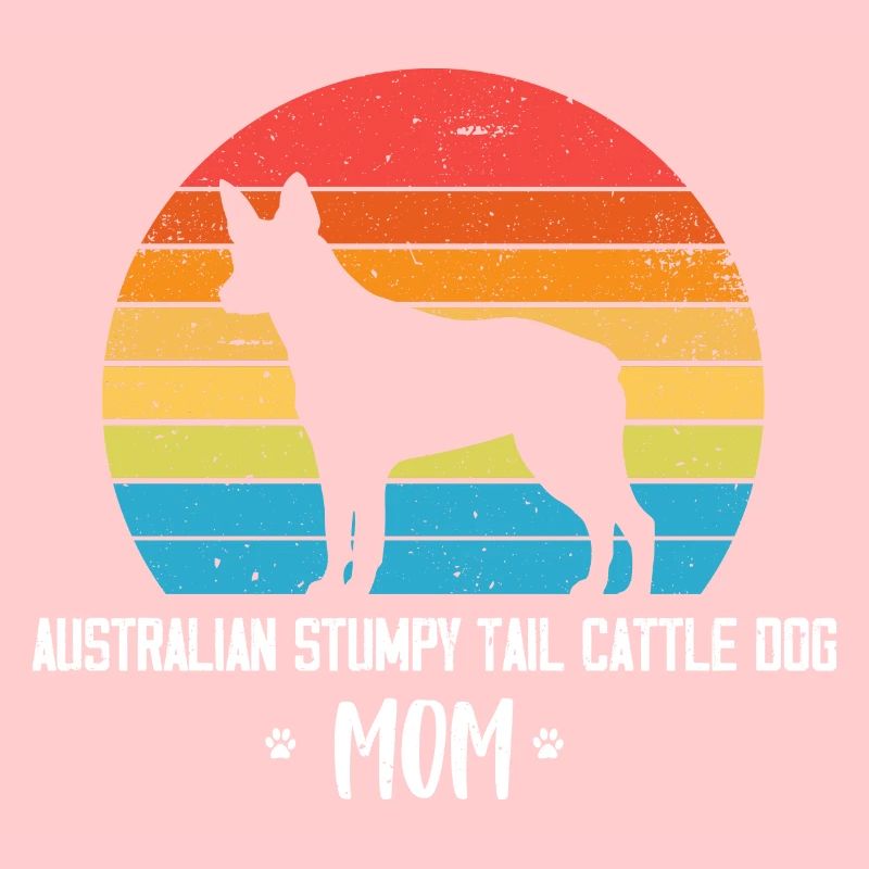 Chien de bétail australien à queue de souche
