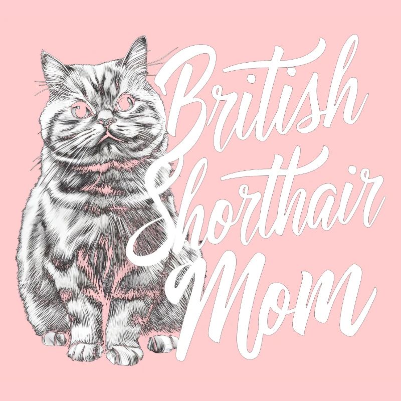 Katze Britisch Kurzhaar Geschenk