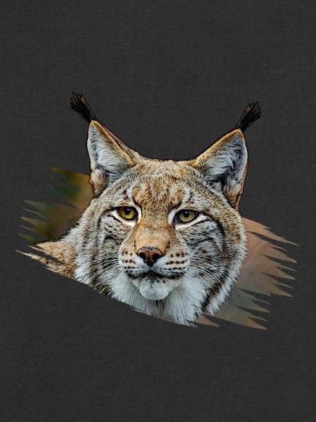 Lynx