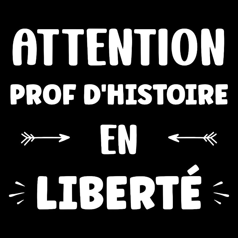 prof histoire
