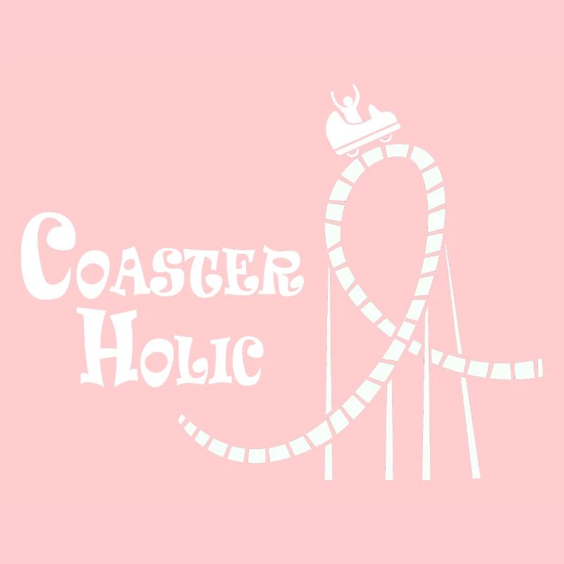 Roller coaster engineer