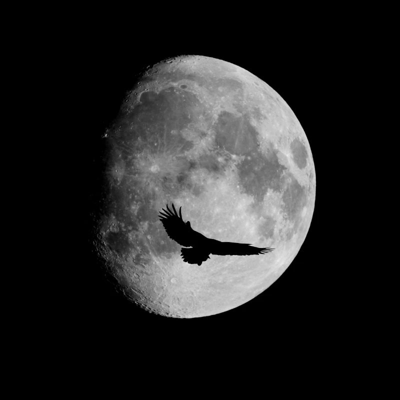 Lune lune de sang Aigle Astro