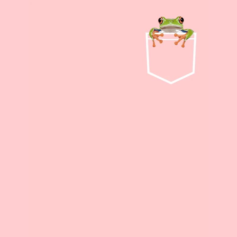 Grenouille Crapaud