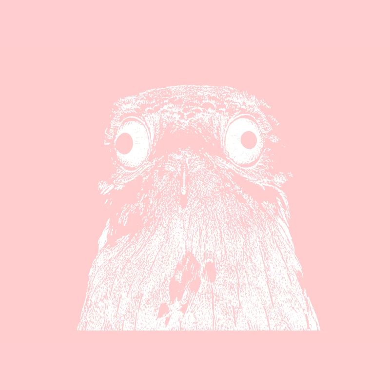 Potoo - Vogel