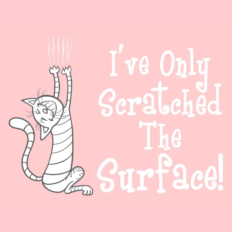 Chat je n’ai rayé la surface