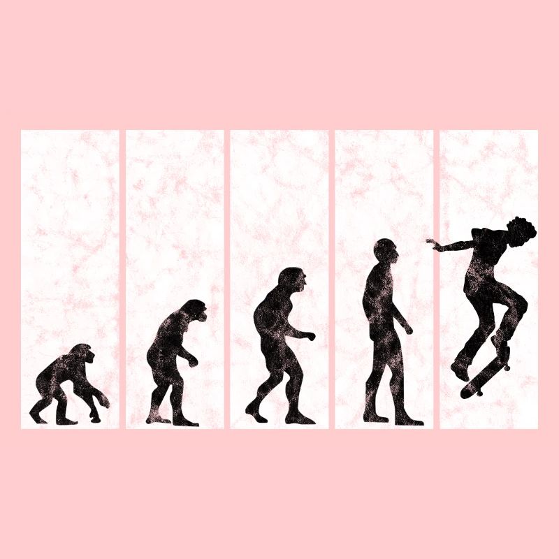 Evolution Skateboarder Skateboard Skater Skate