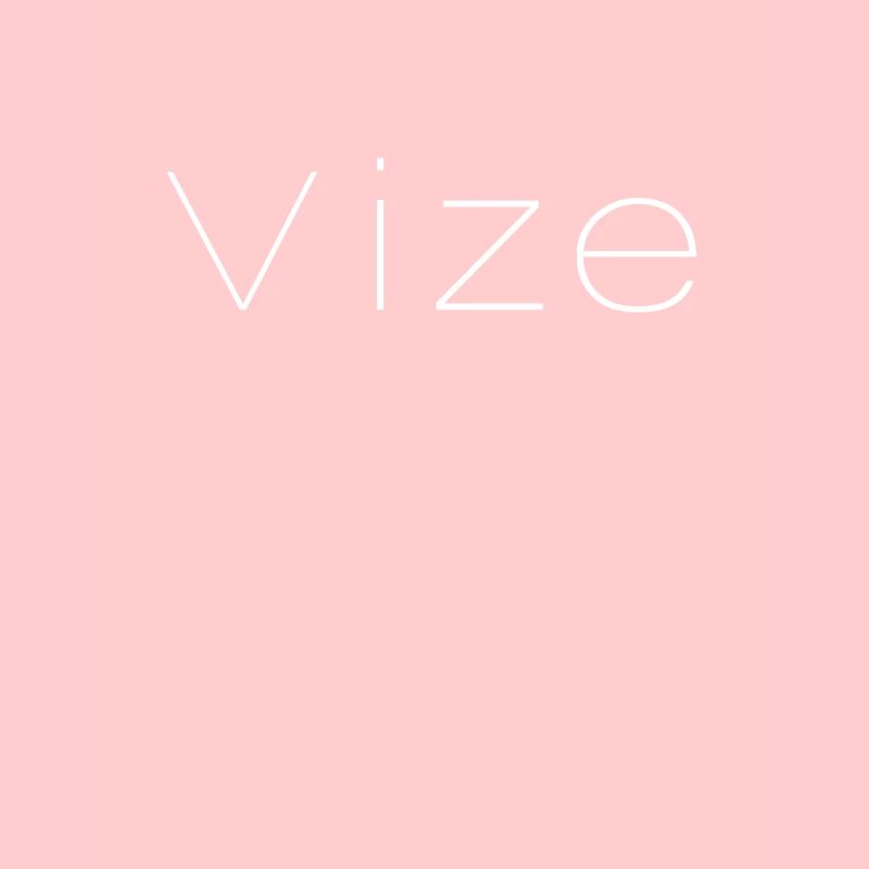 Vize