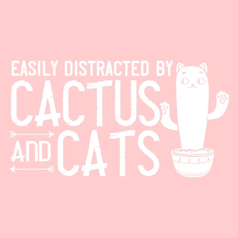 Catcus Cactus Chat Plantes Succulentes Cactus