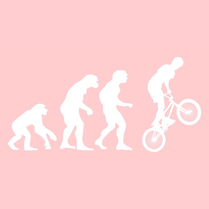 Evolution - BMX