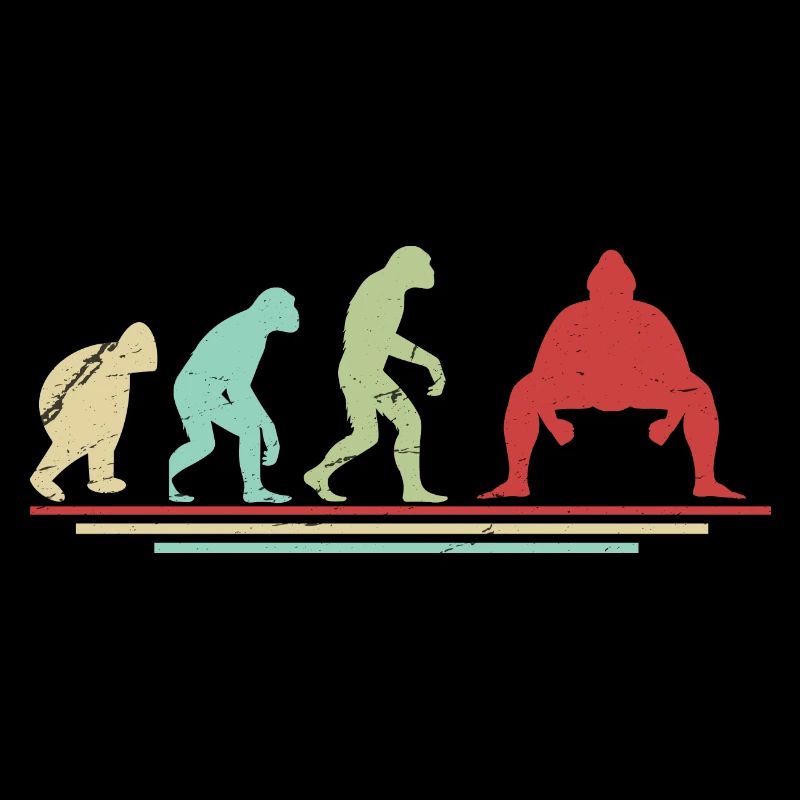 Évolution du sumo