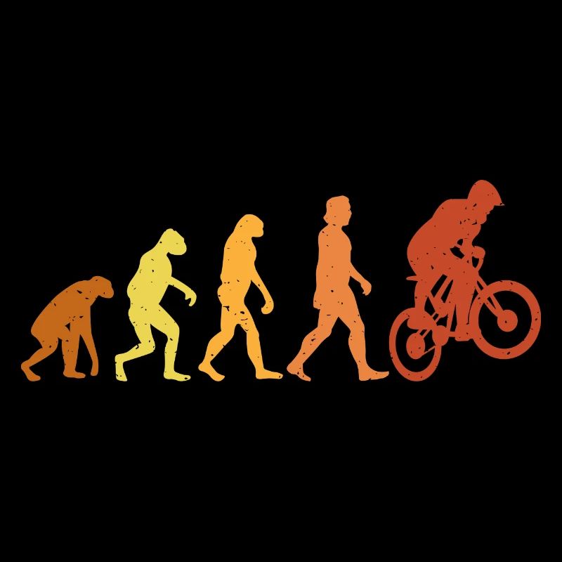 Vintage and Retro BMX Evolution