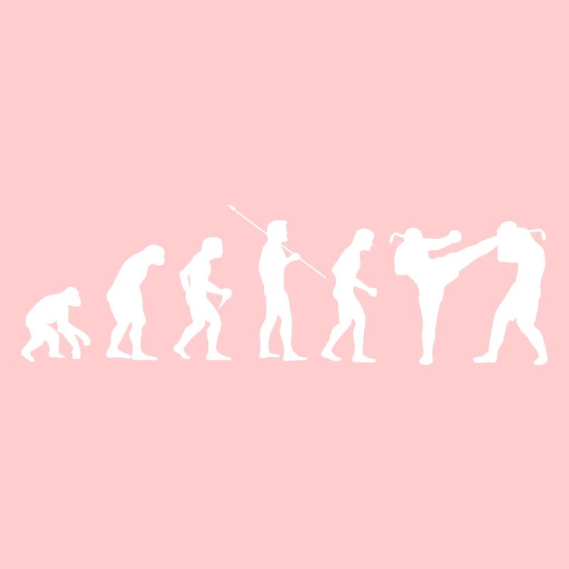 Evolution Kampfsport Karate Judo Kampfkunst Bjj