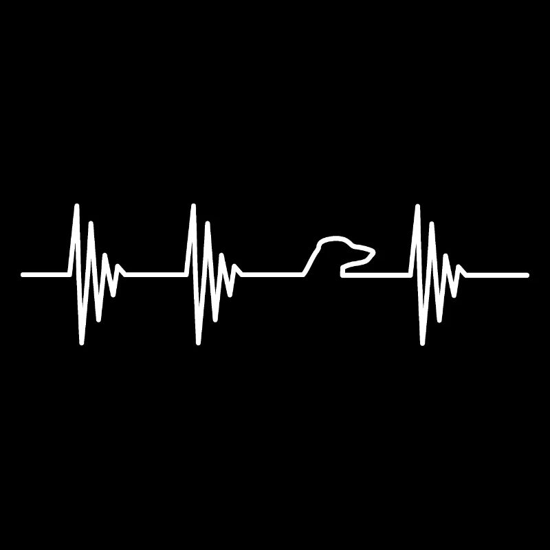 Teckel du rythme cardiaque