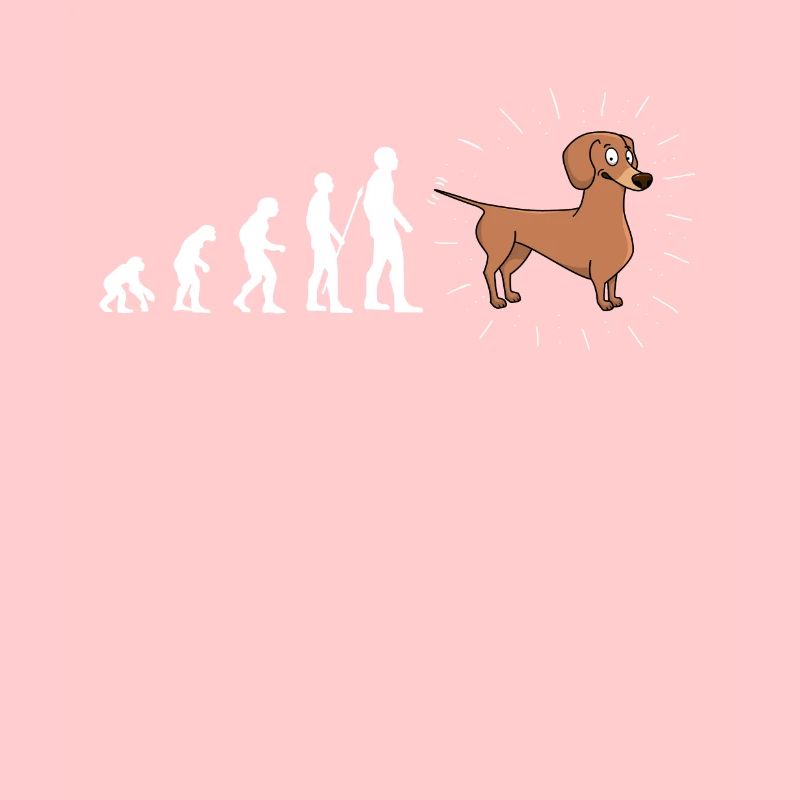 Evolution Dackel Hund Hunde Fun Spaß